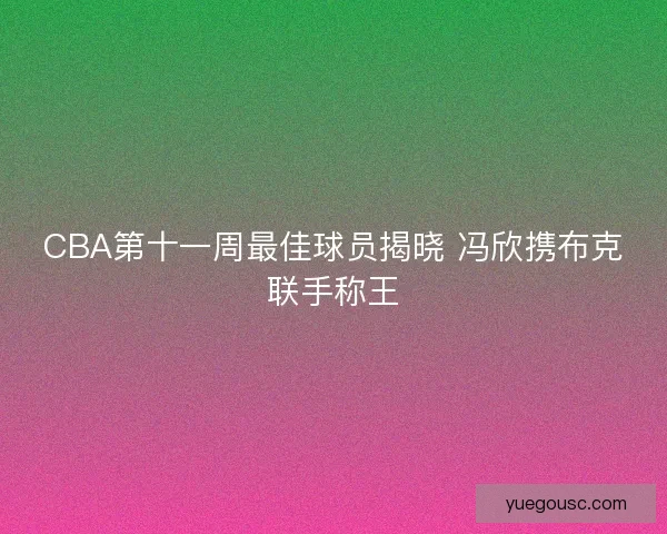 CBA第十一周最佳球员揭晓 冯欣携布克联手称王